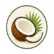 Rich In Coconut